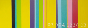 commodity of colour 03 004 1236 13 4th in series janet bright 2013