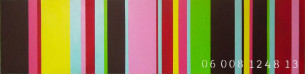 commodity of colour 06 008 1248 13 8th in series 12 x 48 2013 janet bright