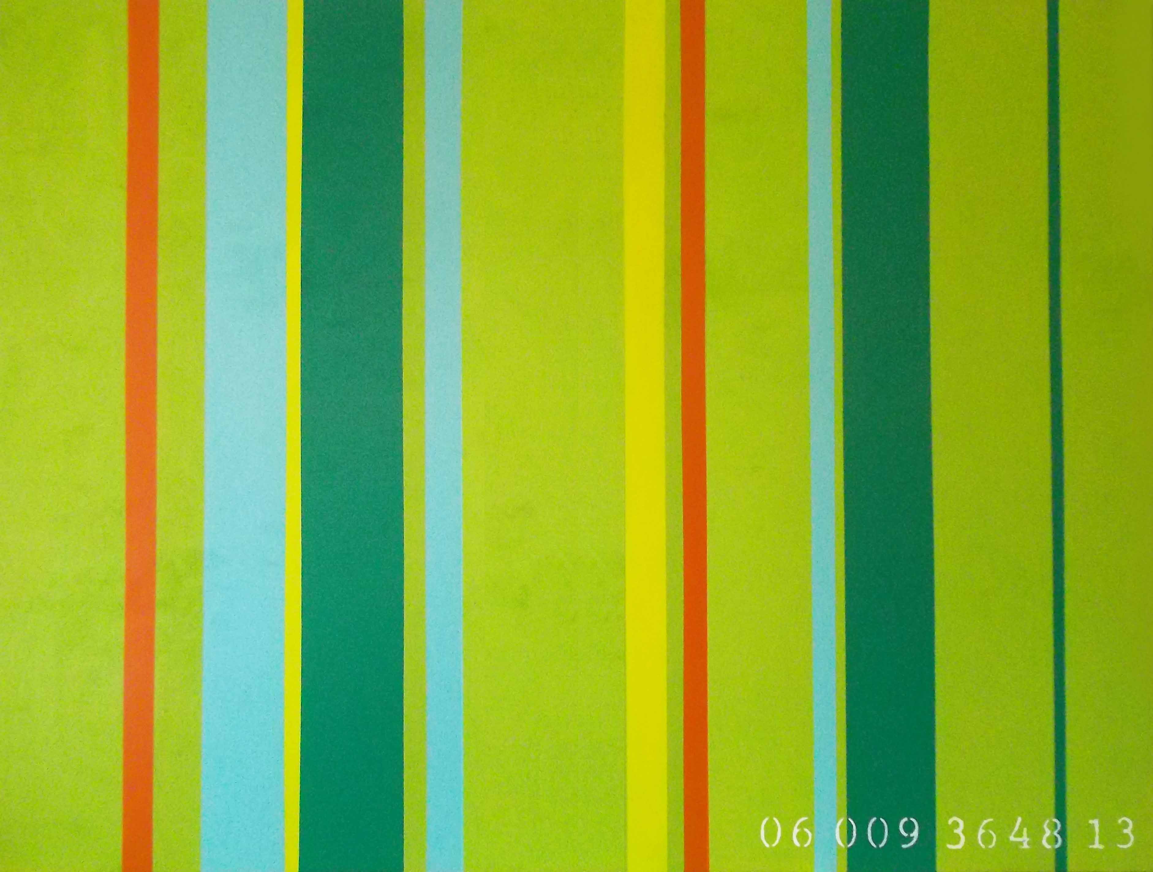 commodity of colour 06 009 3648 13 9th in series 36 x 48 2013 janet bright