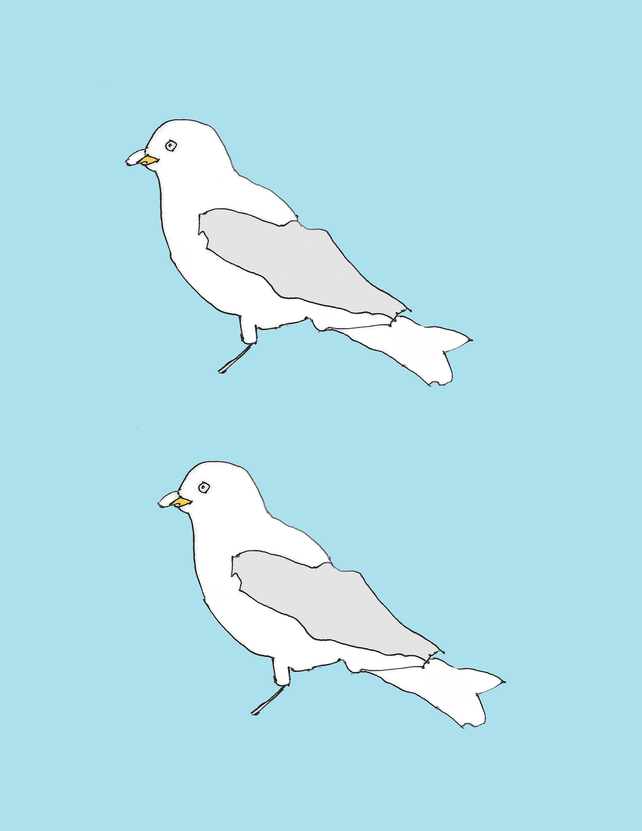 art every day number 27 / drawing / two birds