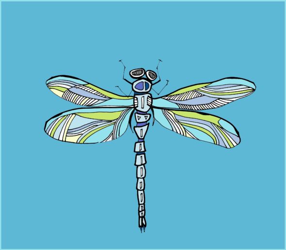 art every day number 46 illustration drawing dragonfly