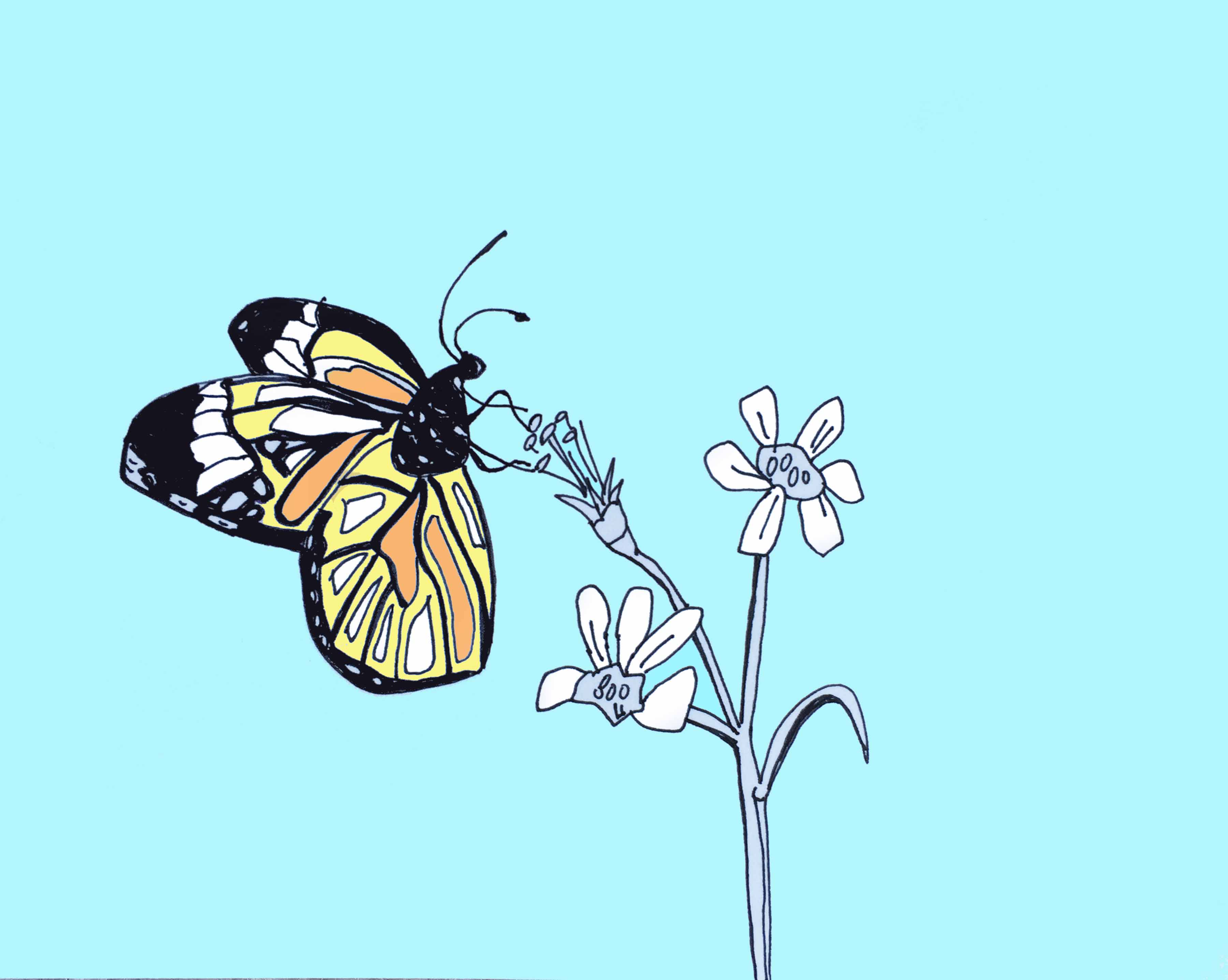 art every day number 141 / illustration / drawing / butterfly and flowers