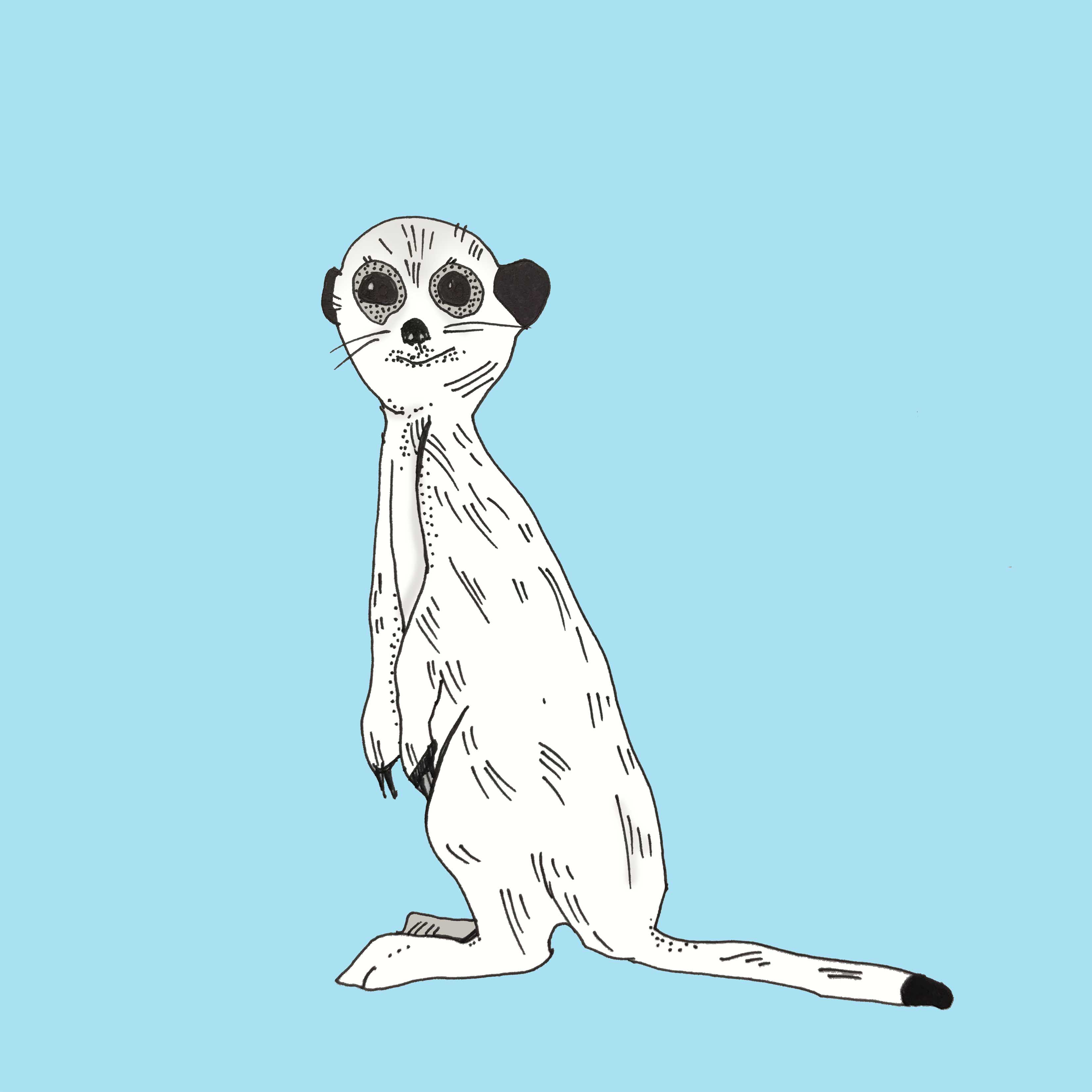 art every day number 194 meerkat animal illustrated