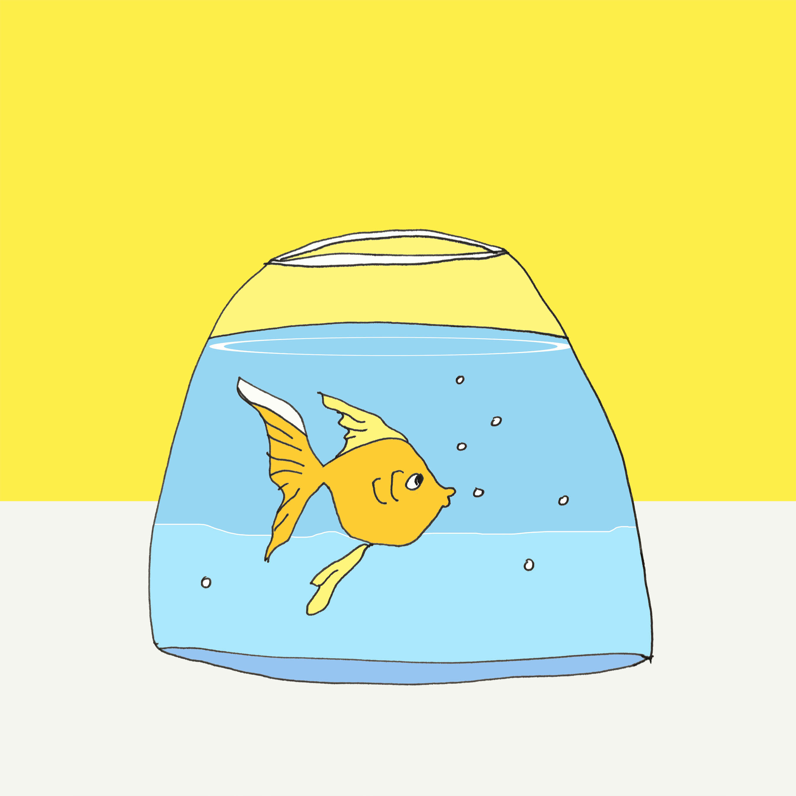 art every day number 215 / illustration / fishbowl
