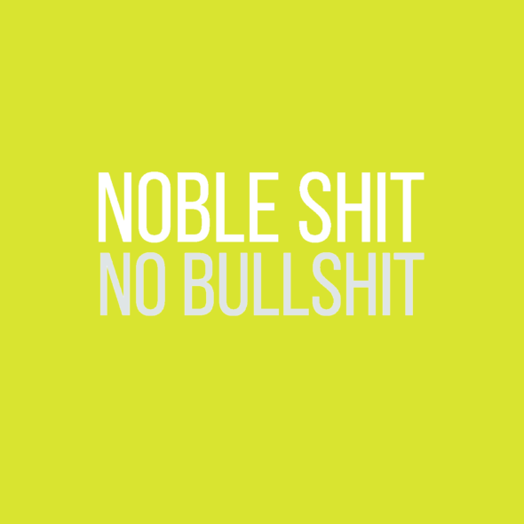 art every day number 343 noble shit no bullshit words truth