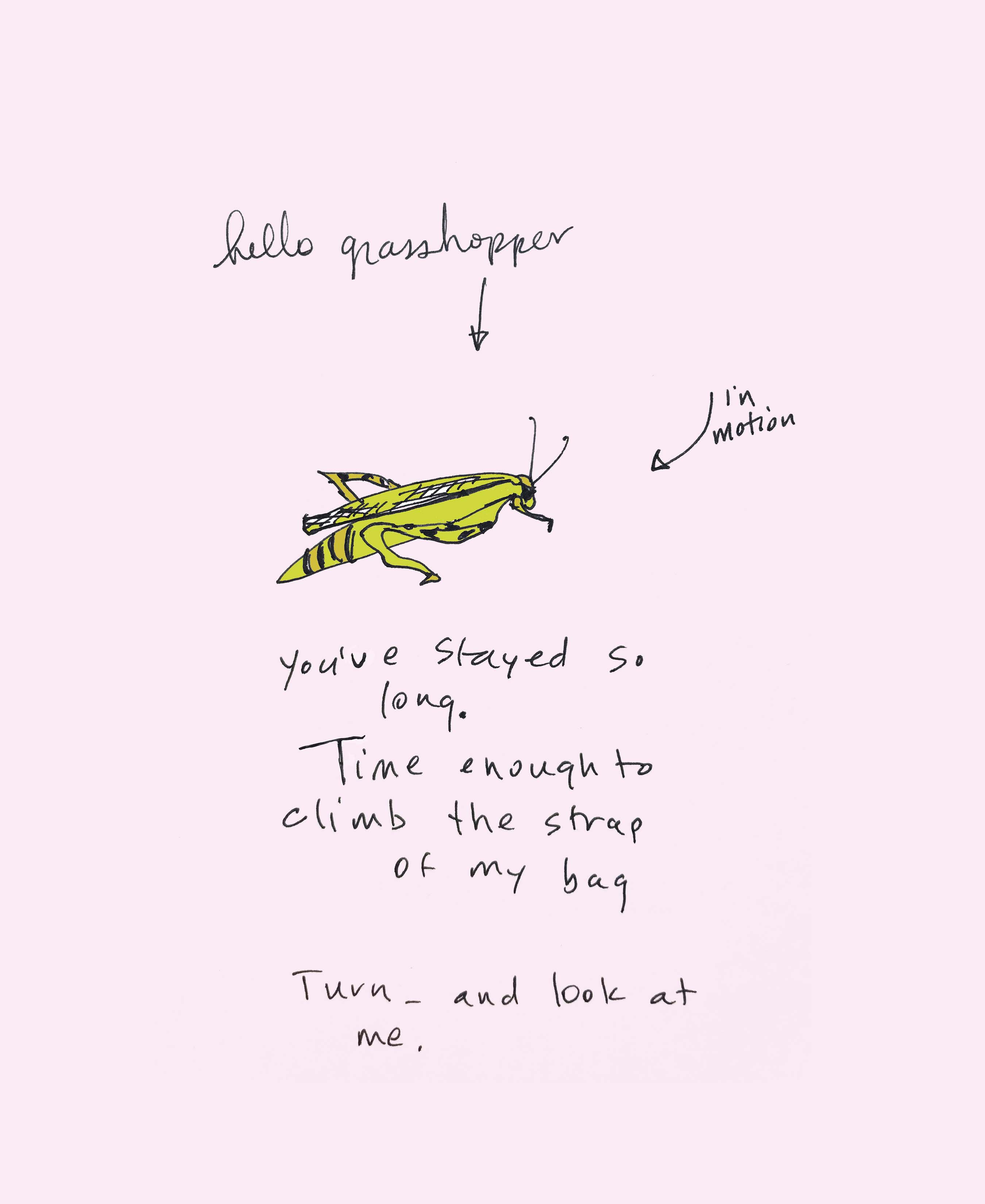 art every day number 395 grasshopper slowing down enjoy