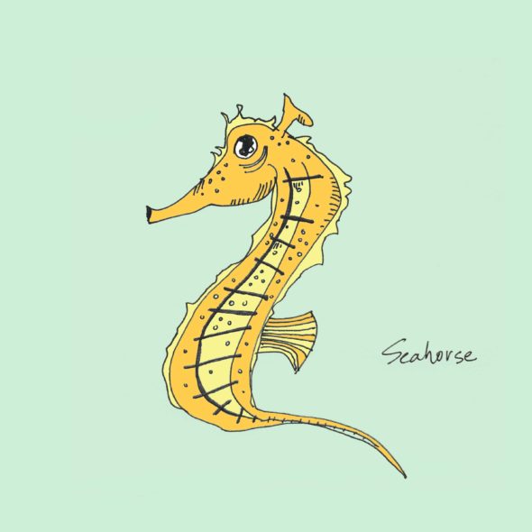 art every day number 393 seahorse sea creature