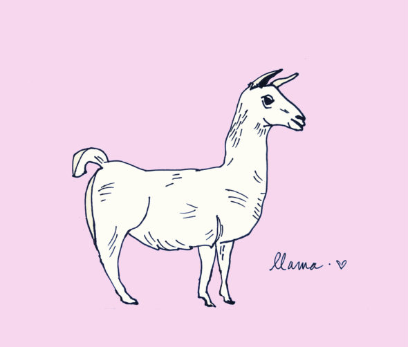 art every day number 411 llama love animal 