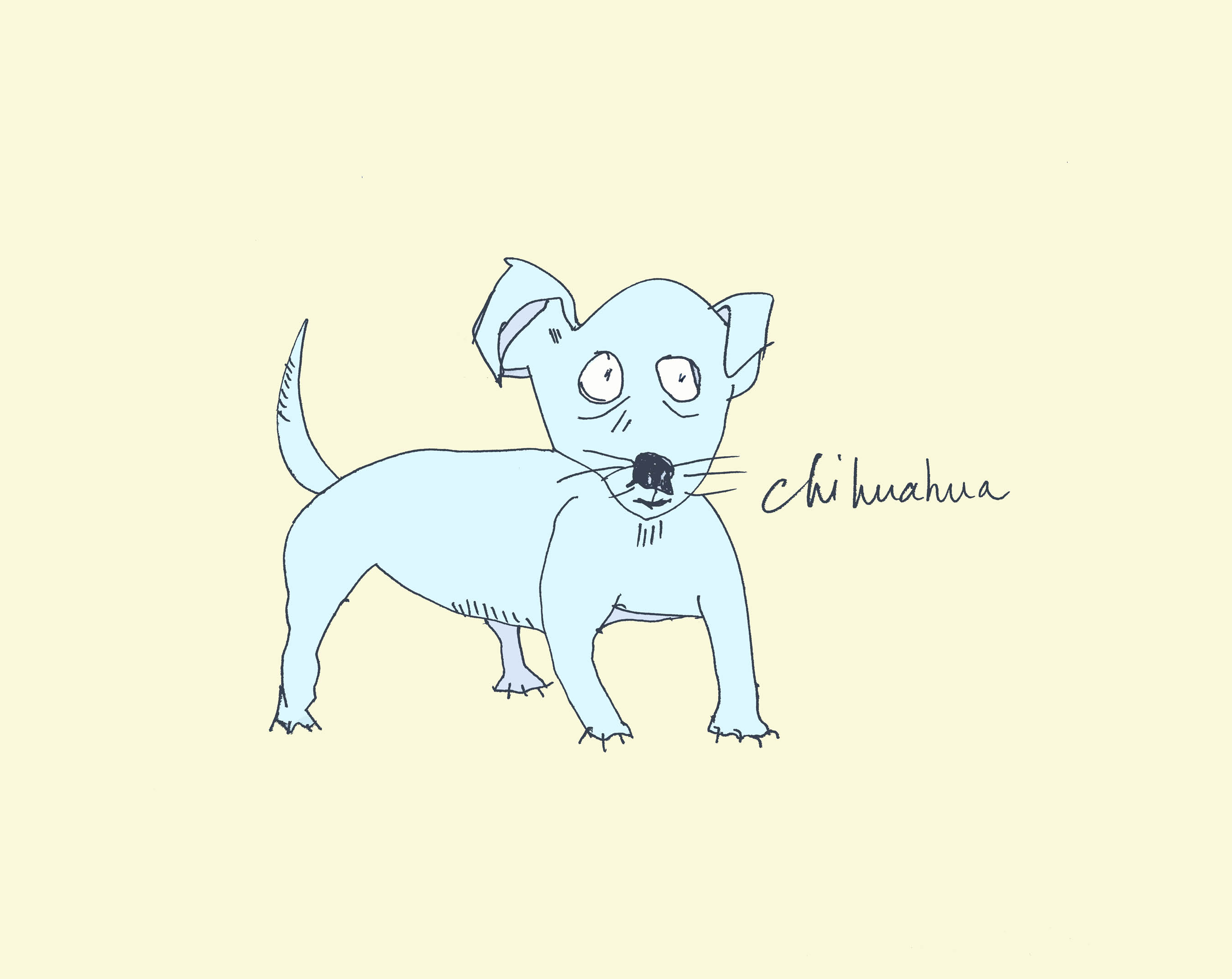 art every day number 419 / illustration / blue chihuahua