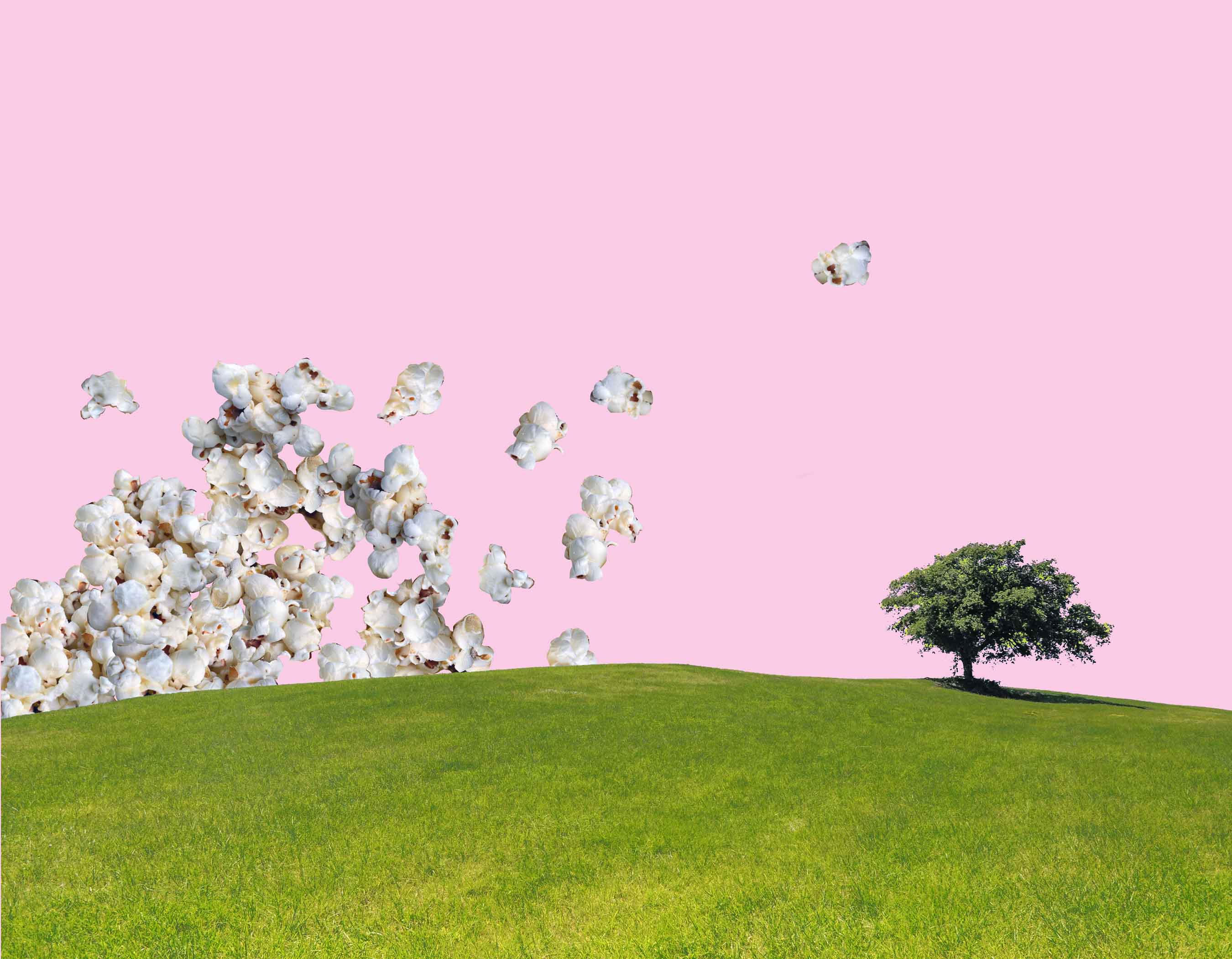 art every day number 417 / digital montage / pink popcorn sky