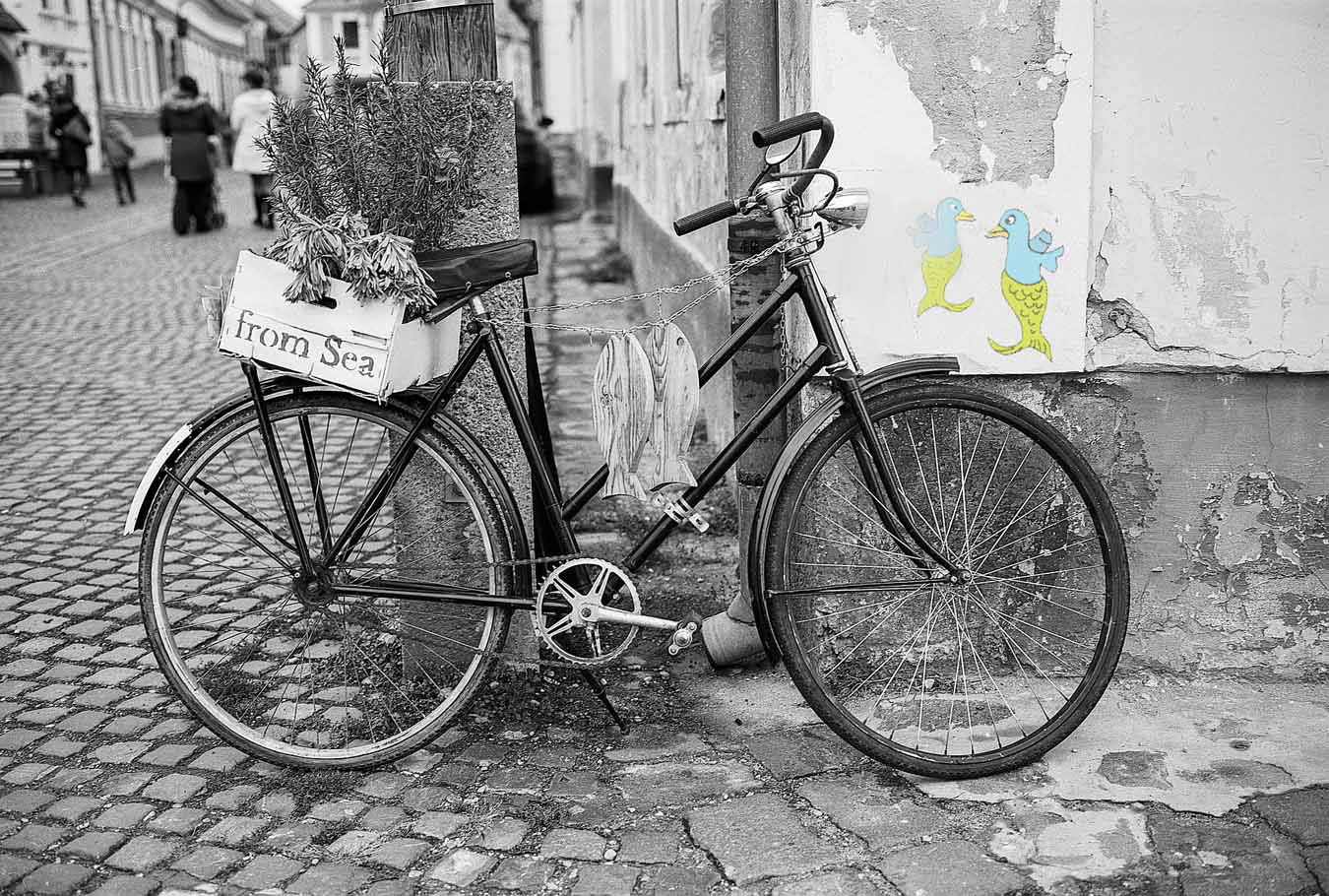 У каждого велосипеда по 2 колеса. Старый велосипед. Ретро велосипед. Старенький велосипед. Старинный и современный велосипед.