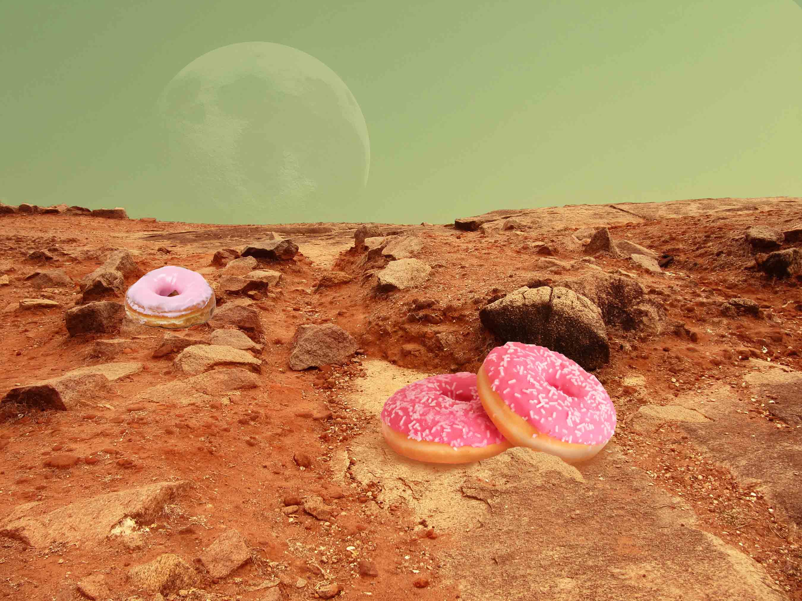 art every day number 544 moon pastry digital collage donuts