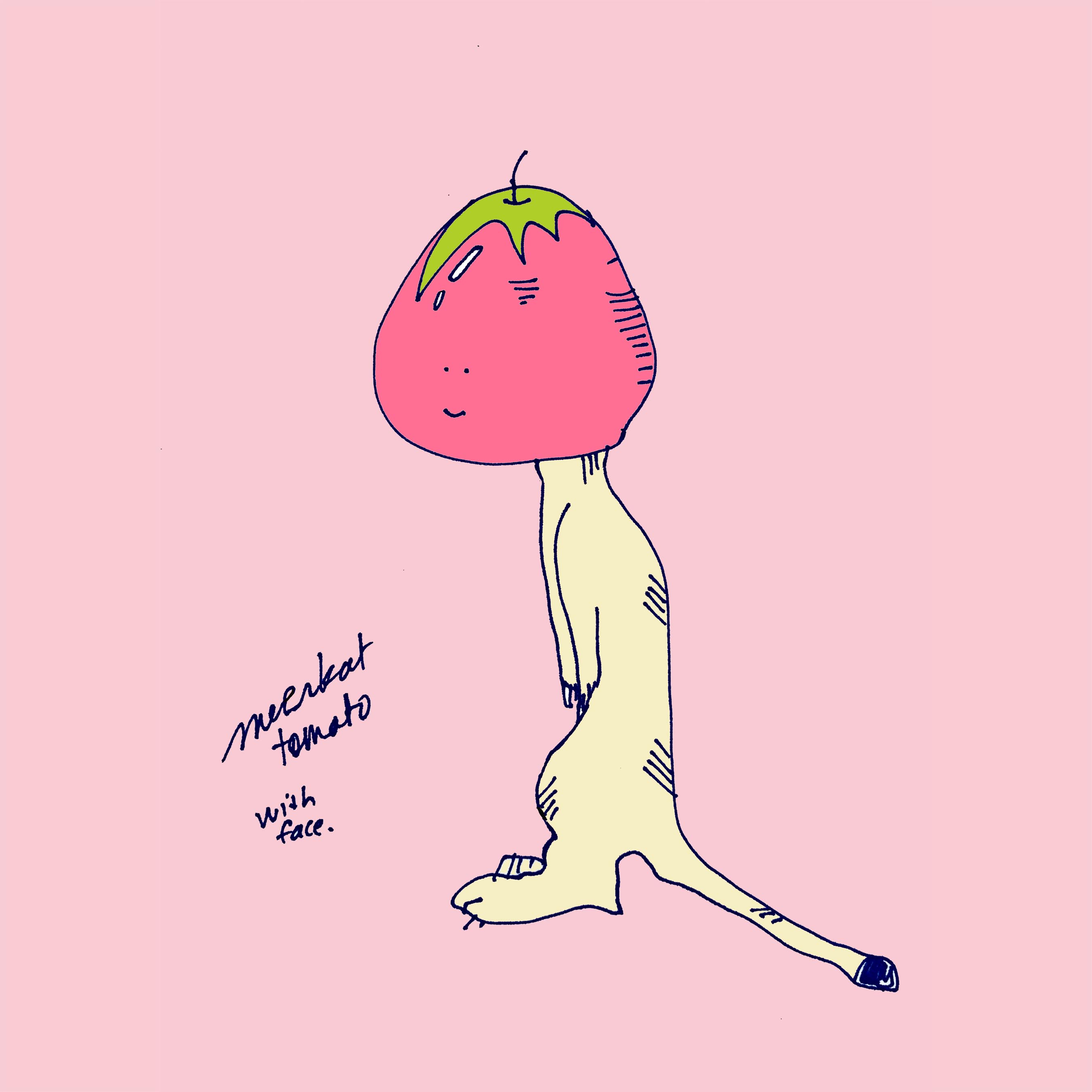 ART EVERY DAY NUMBER 616 / ILLUSTRATION / MEERKAT STRAWBERRY TOMATO