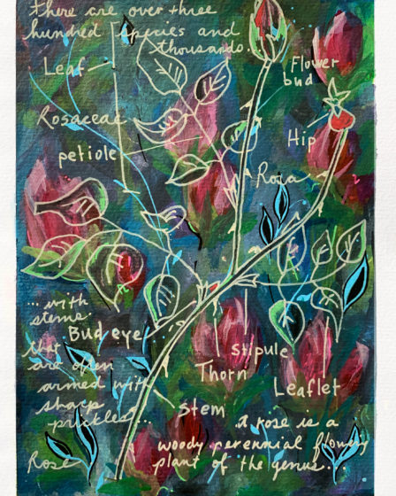 art every day number 640 word garden roses gouache painting