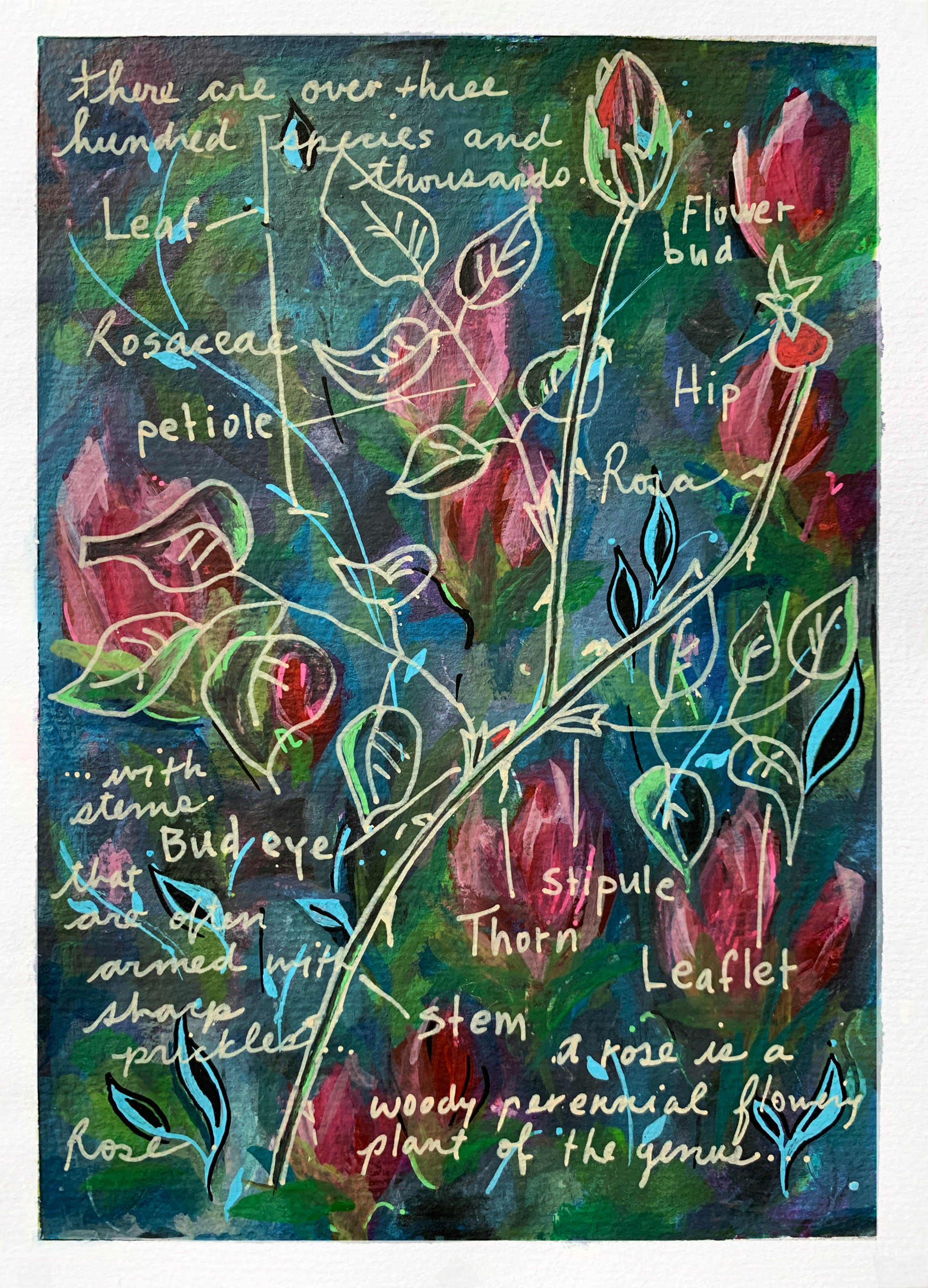 art every day number 640 / painting / word garden (roses) 