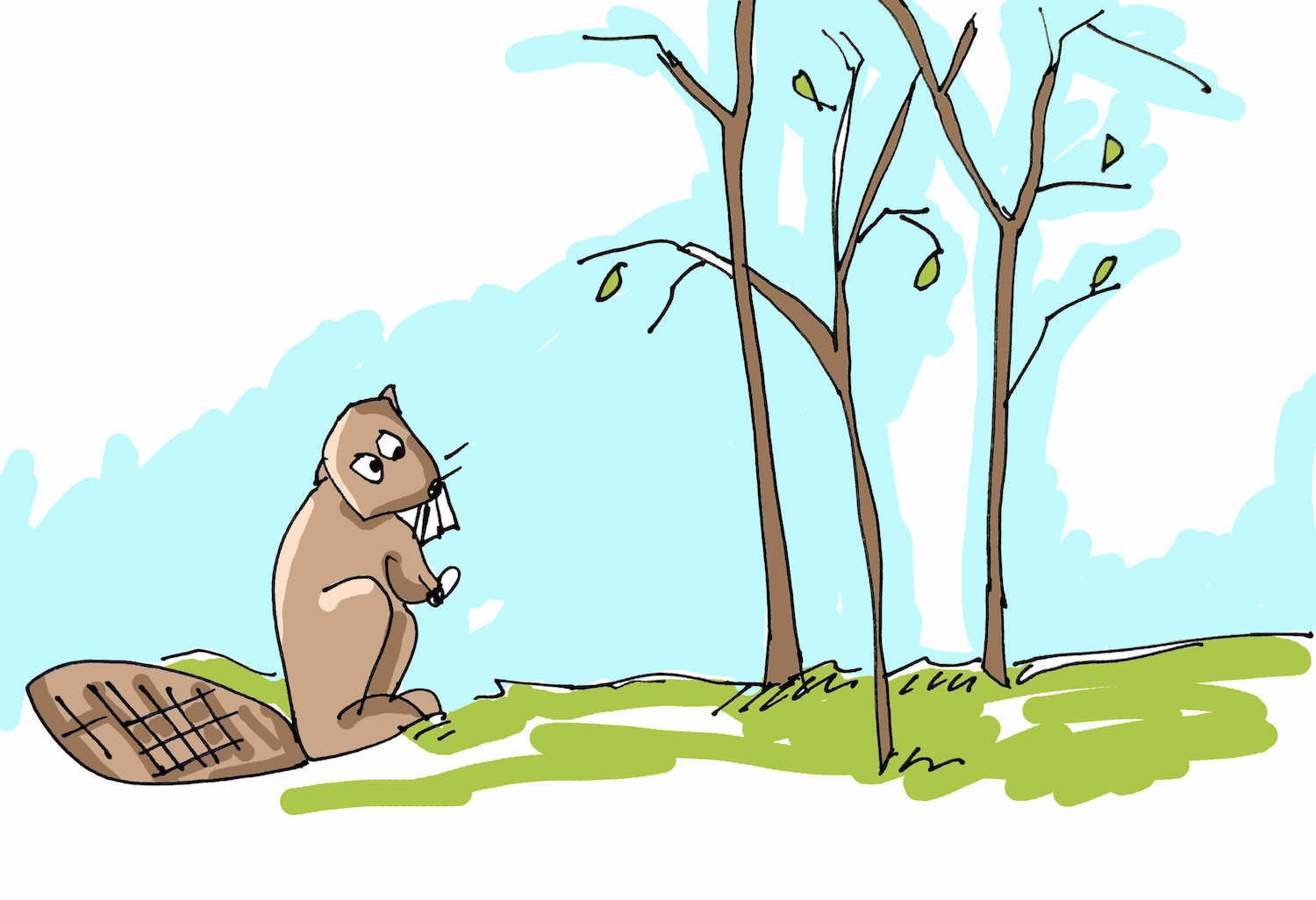 art every day number 674 eager beaver illustration waiting