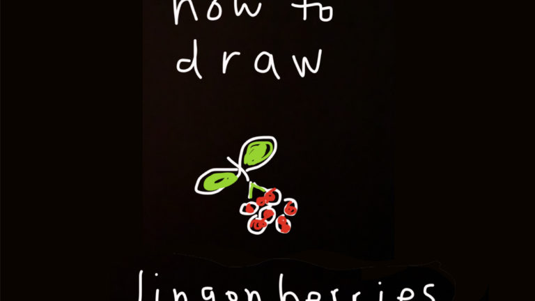 art every day number 748 illustration lingonberries janet bright jjbright