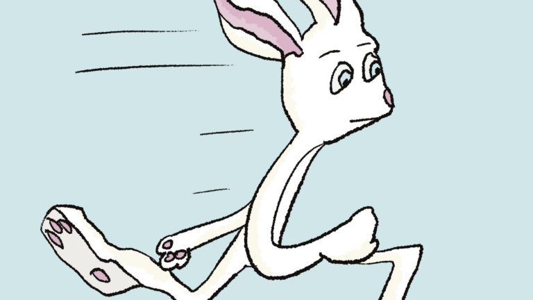 art every day number 808 illustration fast rabbit janet bright jjbright