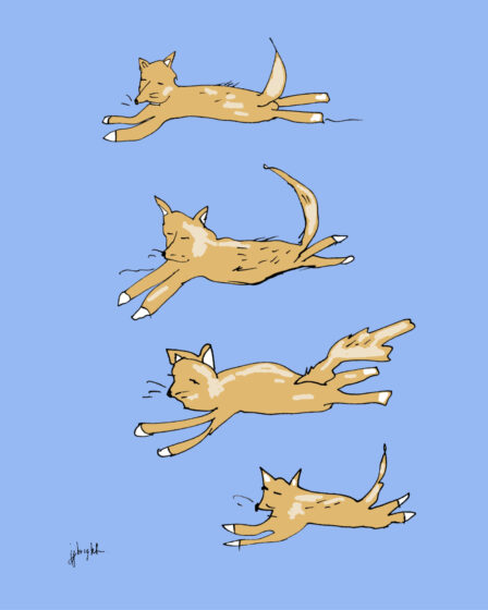 art every day illustration 1040 ollie janet bright jjbright